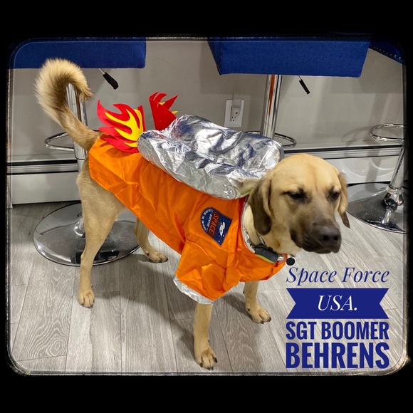 Hello👋Have confidence, I’m a Poshmark Ambassador. - Picture 11 of 17